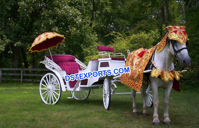 Horse Decoration For Indian Wedding