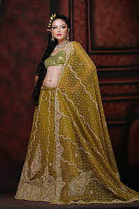 INDIAN WEDDING MEHANDI COLOUR EMBROIDERY SAREE
