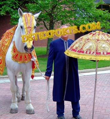 INDIAN WEDDING TRADITIONAL HORSE COSTUMES