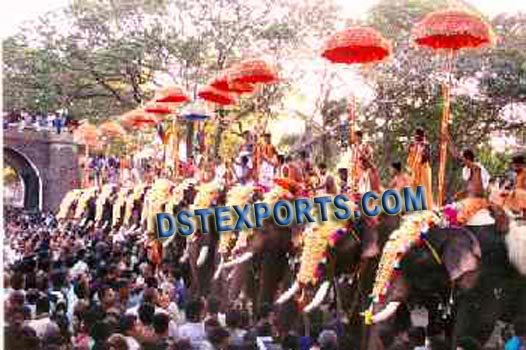 DECORATED ELEPHANT COSTUMES AND UMBERALAS