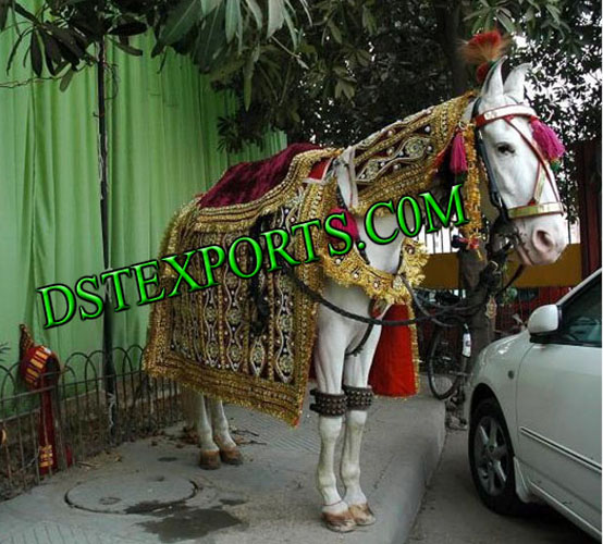 WEDDING EMBROIDERY GHODI COSTUMES