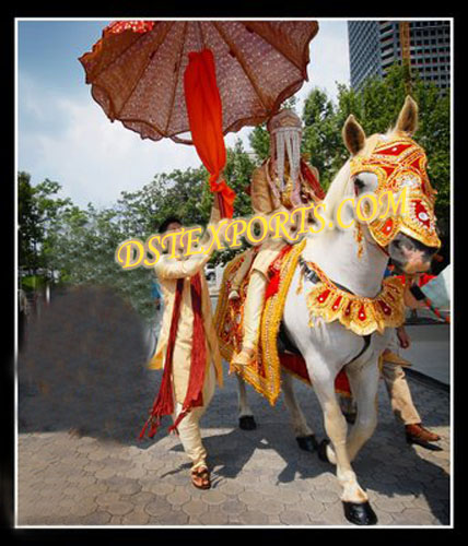 INDIAN BARAT HORSE COSTUME