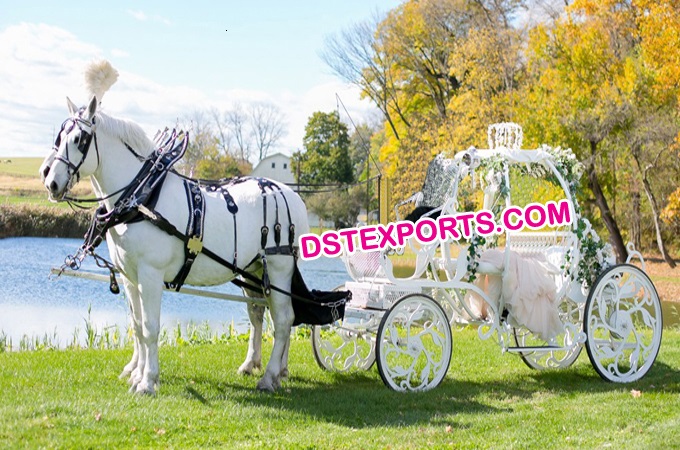 Bridal Cinderella Horse Carriage Bugghy