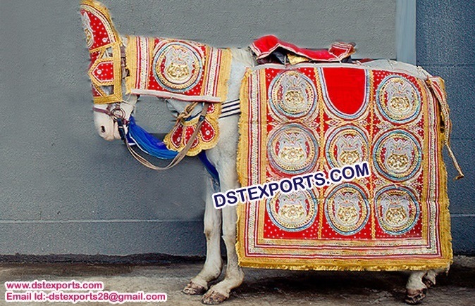 Indian Wedding Barat Horse Decoration