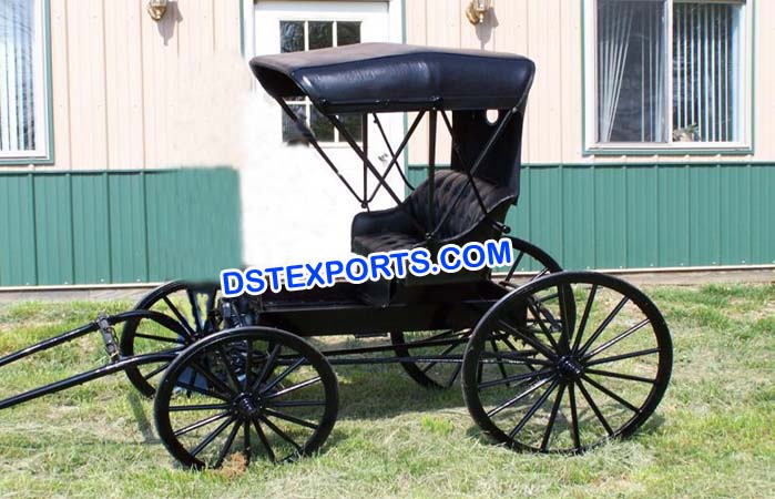 Small Carriages Buggy