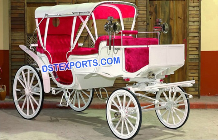 Indian Wedding Royal Buggy