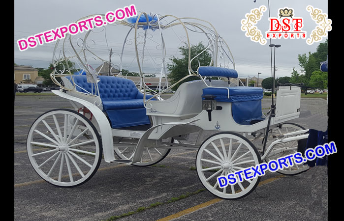 Stylish Horse Carriage With Couch Buggy