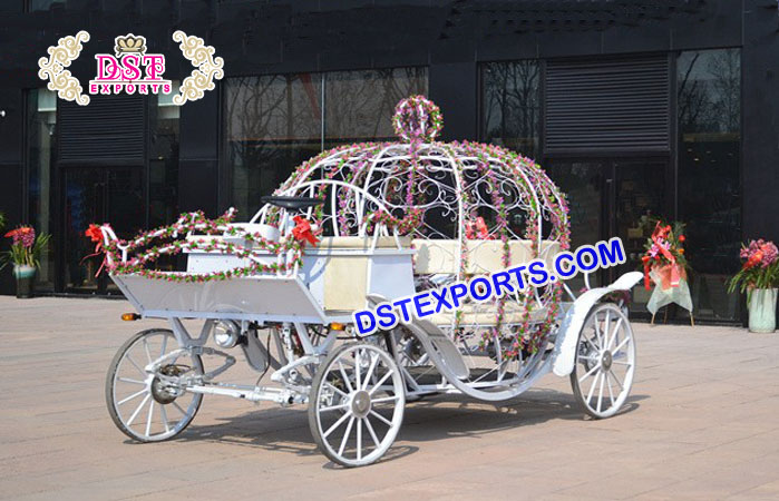 Canadian Cinderella Carriage for Bridal Entry