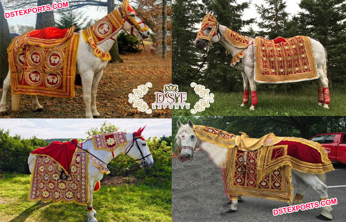 Baraat Horse Costume for Traditional Wedding