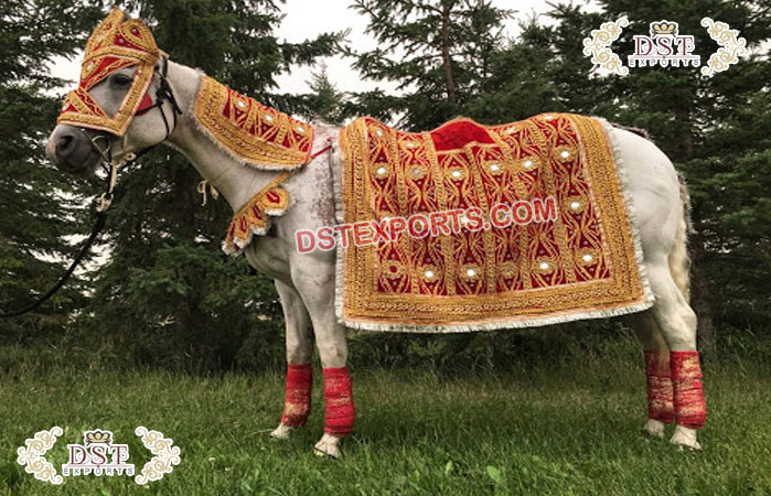 Indian Wedding Traditional Baraat Horse Costume