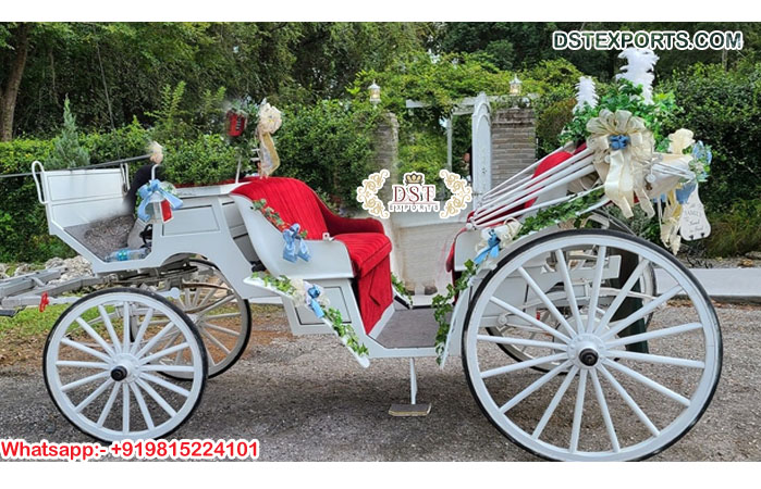 Classy New Style Victorian Horse Carriages