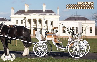 British White look Horse Drawn Carriage