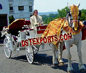 HORSE CARRIAGE COSTUMES