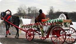 CHRISTMAS VICTORIA CARRIAGE