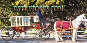 BEAUTIFUL COVERED HORSE CARRIAGE