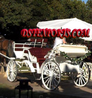 NEW WHITE COVERED VICTORIA HORSE CARRIAGE