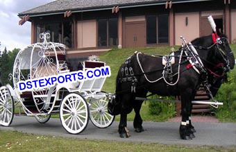 Modern Cinderella Horse Carriages