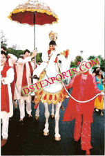 WEDDING  EMBROIDERED  HORSE COSTUME WITH UMBRELLA