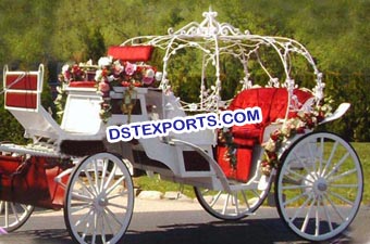 Beautiful Wedding Cinderella Carriages