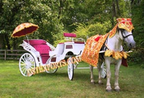 INDIAN WEDDING HORSE CARRIAGE