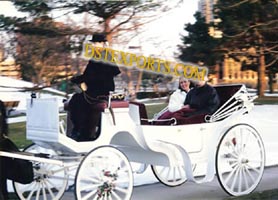NEW WEDDING TWO SEATER HORSE CARRIAGE