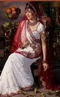 INDIAN WEDDING NEW BRIDAL SAREE