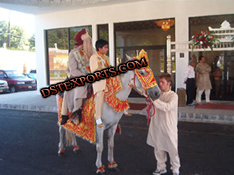 INDIAIN BARAAT RED EMBROIDERY HORSE COSTUME