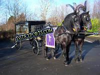 BLACKISH FUNERAL HORSE CARRIAGE