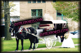 WEDDING WHITE COVERED VICTORIA CARRIAGE