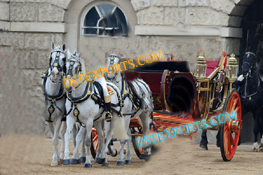 MAHARAJA WEDDING HORSE CARRIAGE