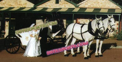 BRIDAL PARTY HORSE CARRIAGE