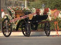 BEAUTIFUL BLACK VICTORIA CARRIAGES