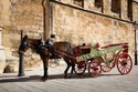 WEDDING RED VICTORIA CARRIAGES