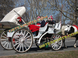 WHITE VICTORIA CARRIAGE WITH RED HOOD