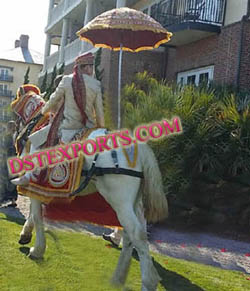 INDIAN BARAT HORSE DRESS