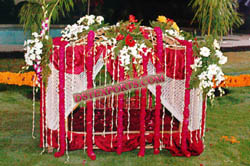 INDIAN TRADITIONAL DULHAN DOLI