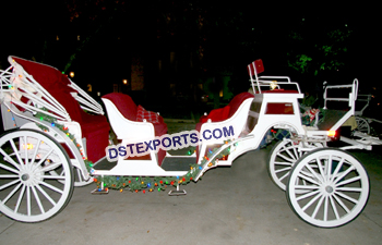 Latest Horse Buggy Carriage