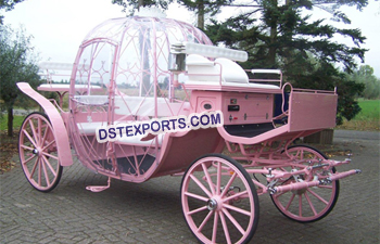 Pinkish Cinderella Horse Carriage