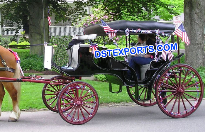 Royal Indian Black Horse Carriages