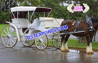 Canadian wedding  Victoria style Horse Carriage