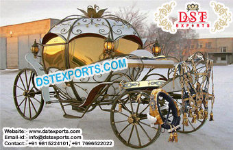 Lotus Look Covered Horse Drawn Carriage