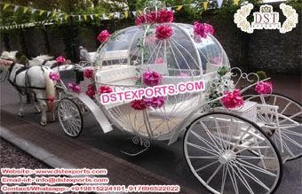 Fairy-tale Wedding Cinderella Covered Carriage
