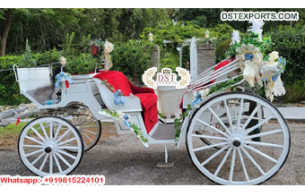 Classy New Style Victorian Horse Carriages